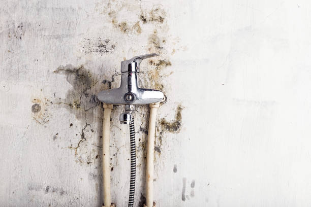 Best Water Damage Restoration  in Woodlawn, MD