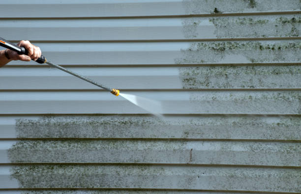 Best Attic Mold Removal  in Woodlawn, MD
